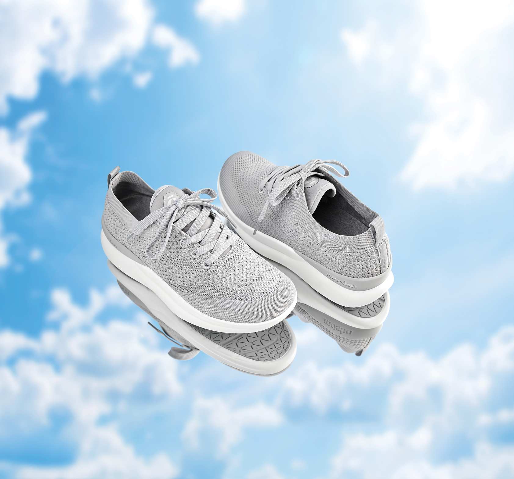 Image Leap product